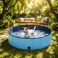 Piscine rigide pliable 100 cm pour chien, 235 litres