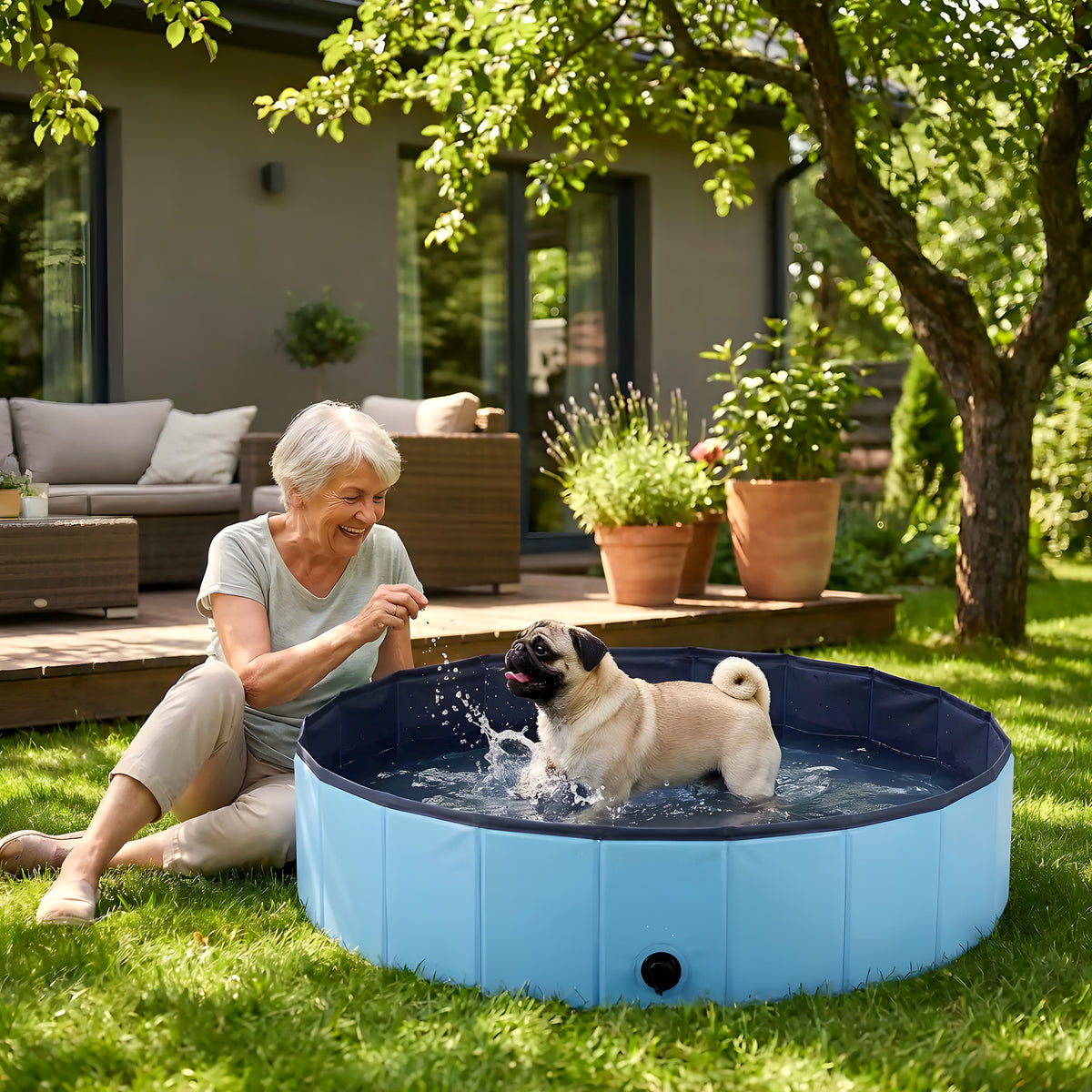Piscine rigide pliable 100 cm pour chien, 235 litres