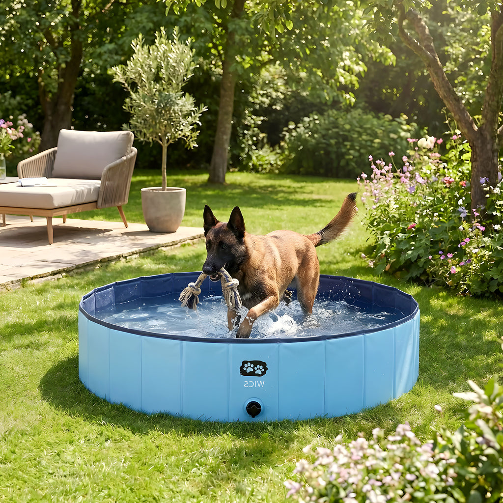 Piscine rigide pliable 100 cm pour chien, 235 litres
