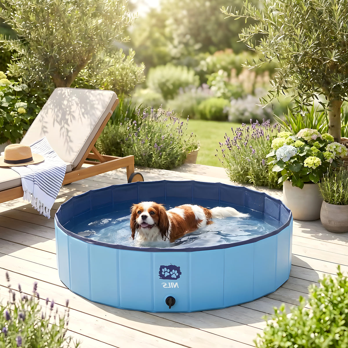 Piscine rigide pliable 100 cm pour chien, 235 litres