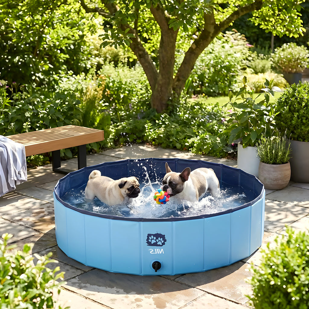Piscine rigide pliable 100 cm pour chien, 235 litres