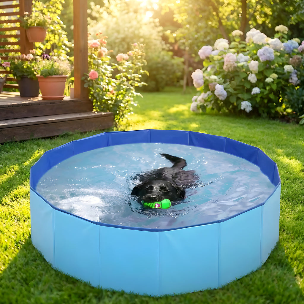 Piscine rigide pliable 80 cm rouge ou bleue pour chien