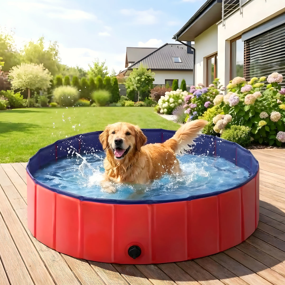 Piscine rigide pliable 80 cm rouge ou bleue pour chien
