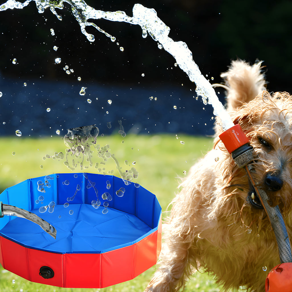 Piscine rigide pliable 80 cm rouge ou bleue pour chien