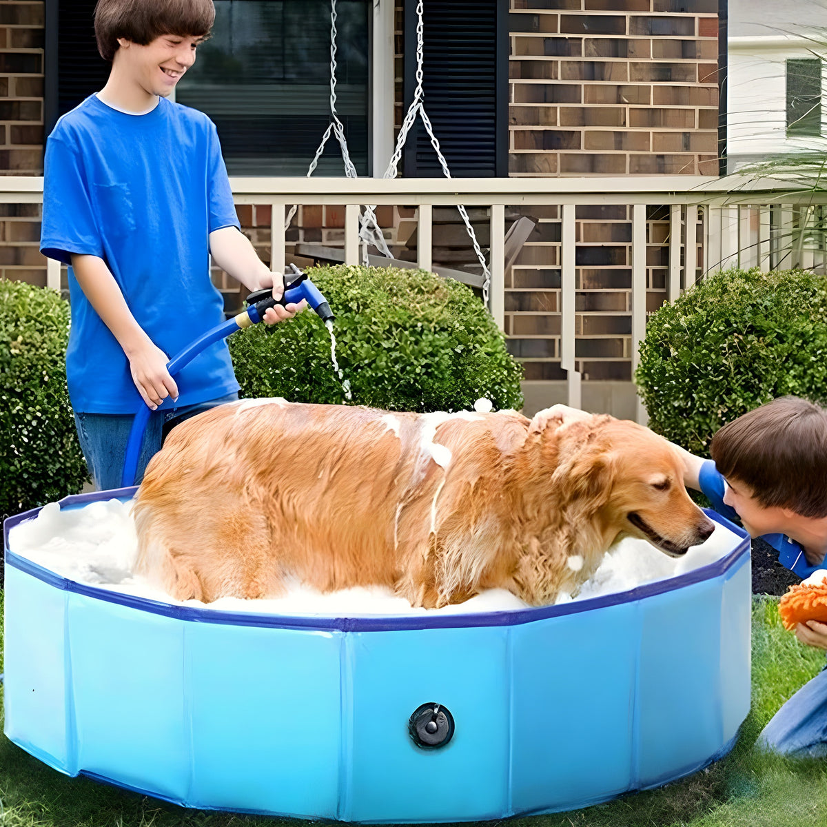 Piscine rigide pliable bleue pour chien, S à XL