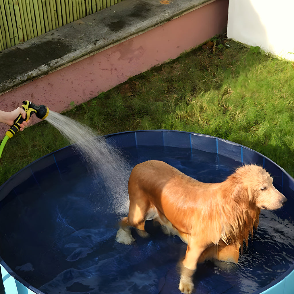 Piscine rigide pliable bleue pour chien, S à XL