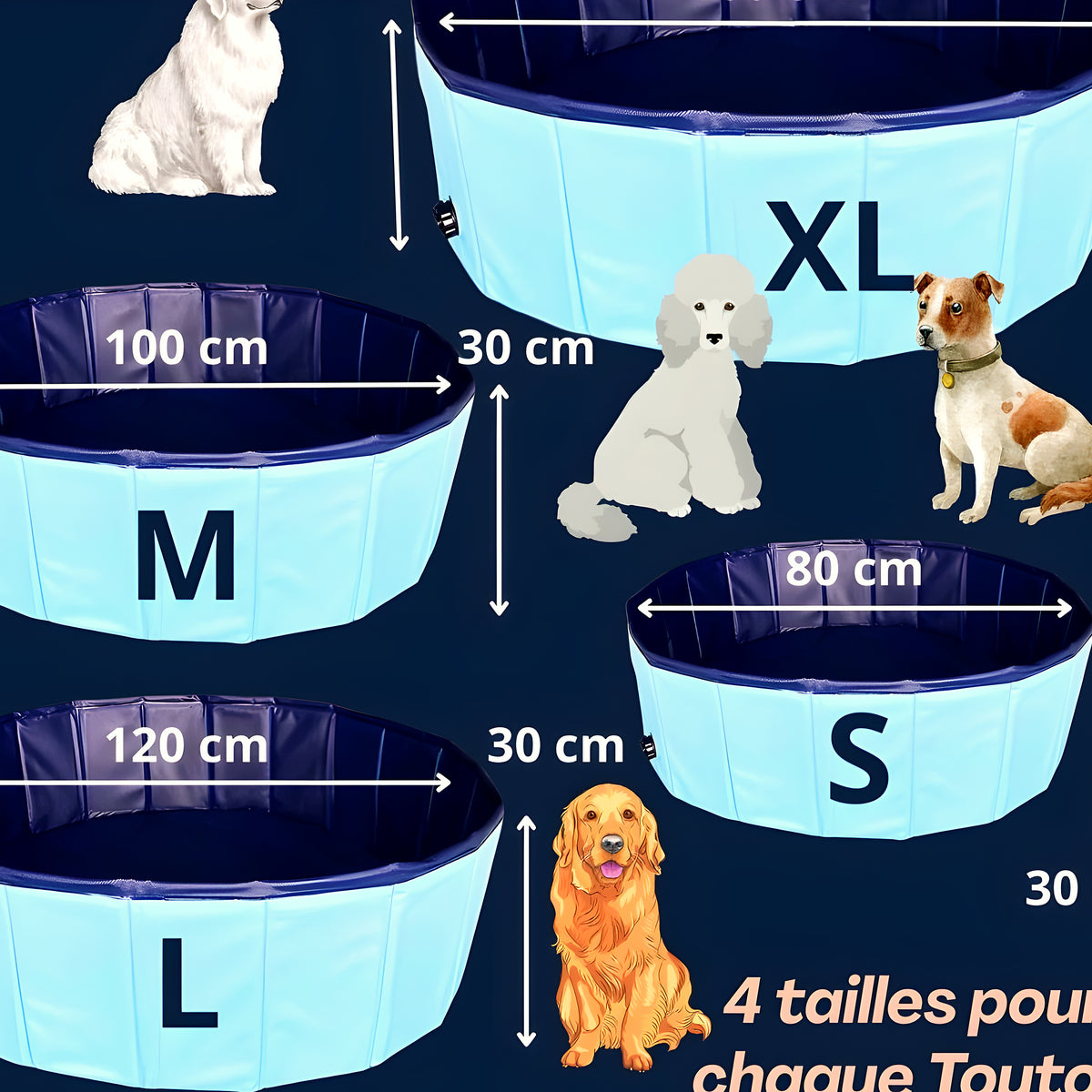 Piscine rigide pliable bleue pour chien, S à XL