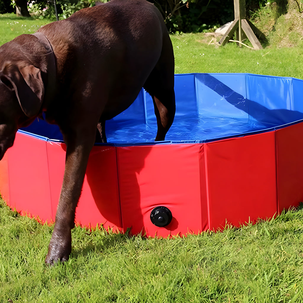 Piscine rigide pliable rouge pour chien, S à XL