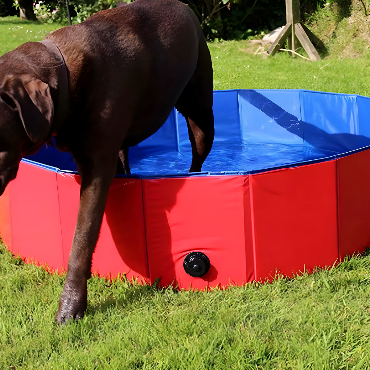 Piscine rigide pliable rouge pour chien, S à XL