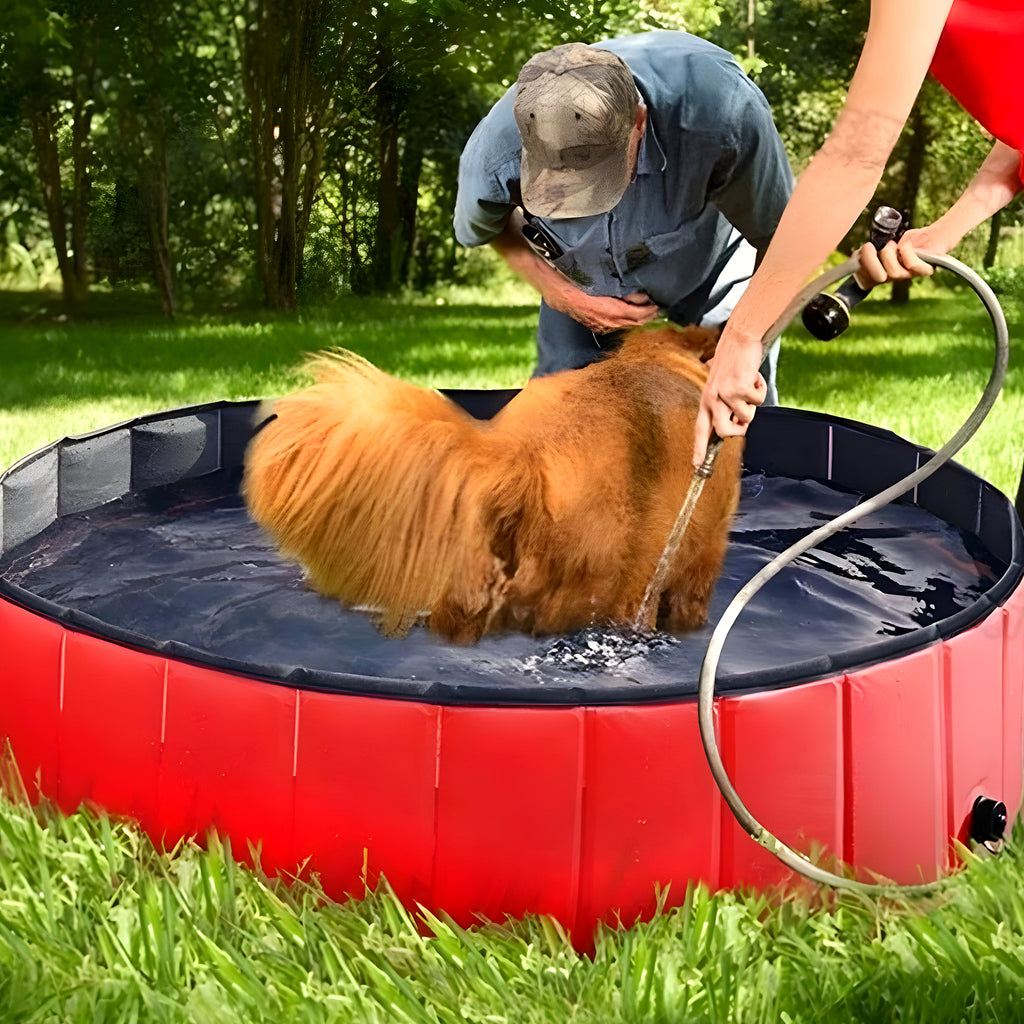 Piscine rigide pliable rouge pour chien, S à XL