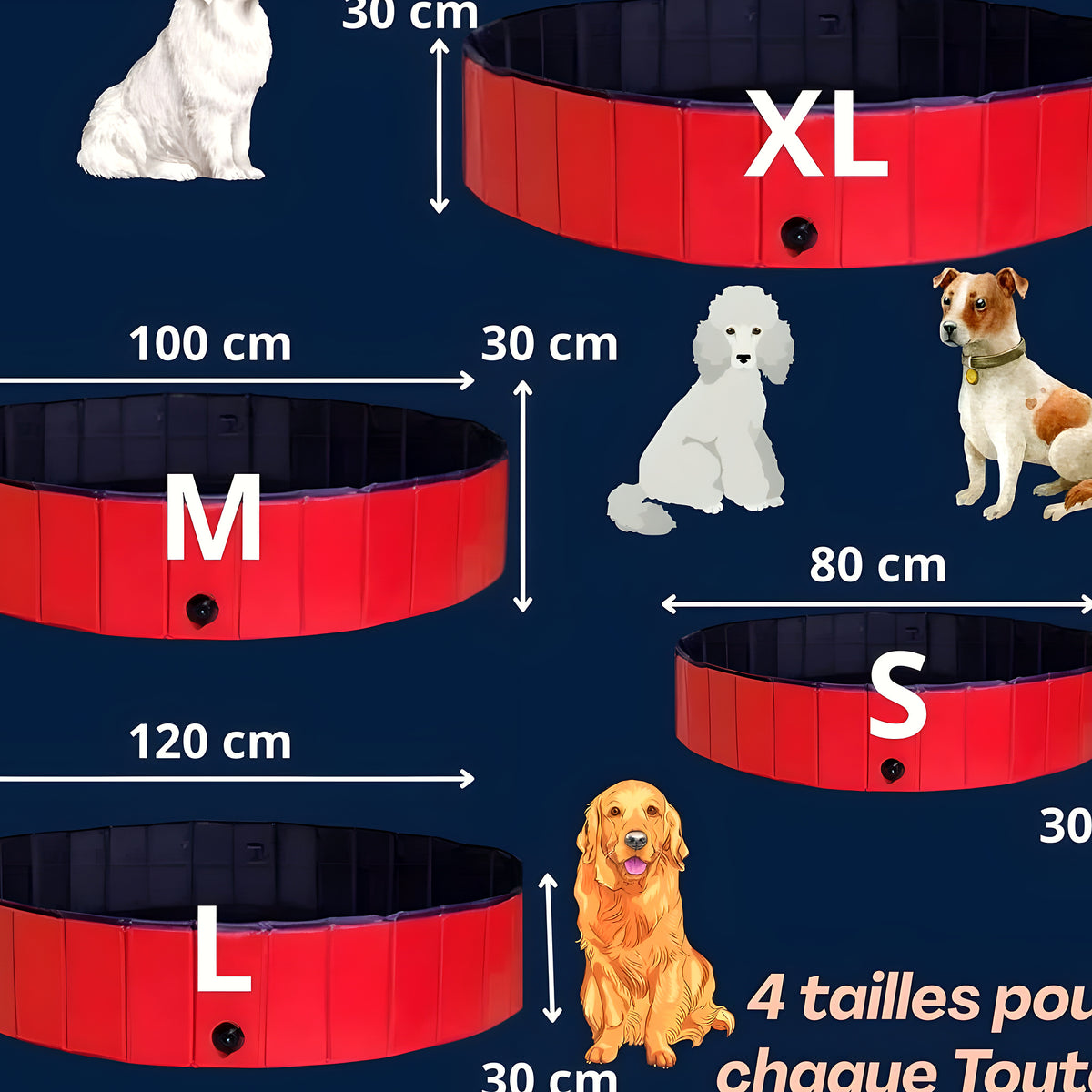 Piscine rigide pliable rouge pour chien, S à XL