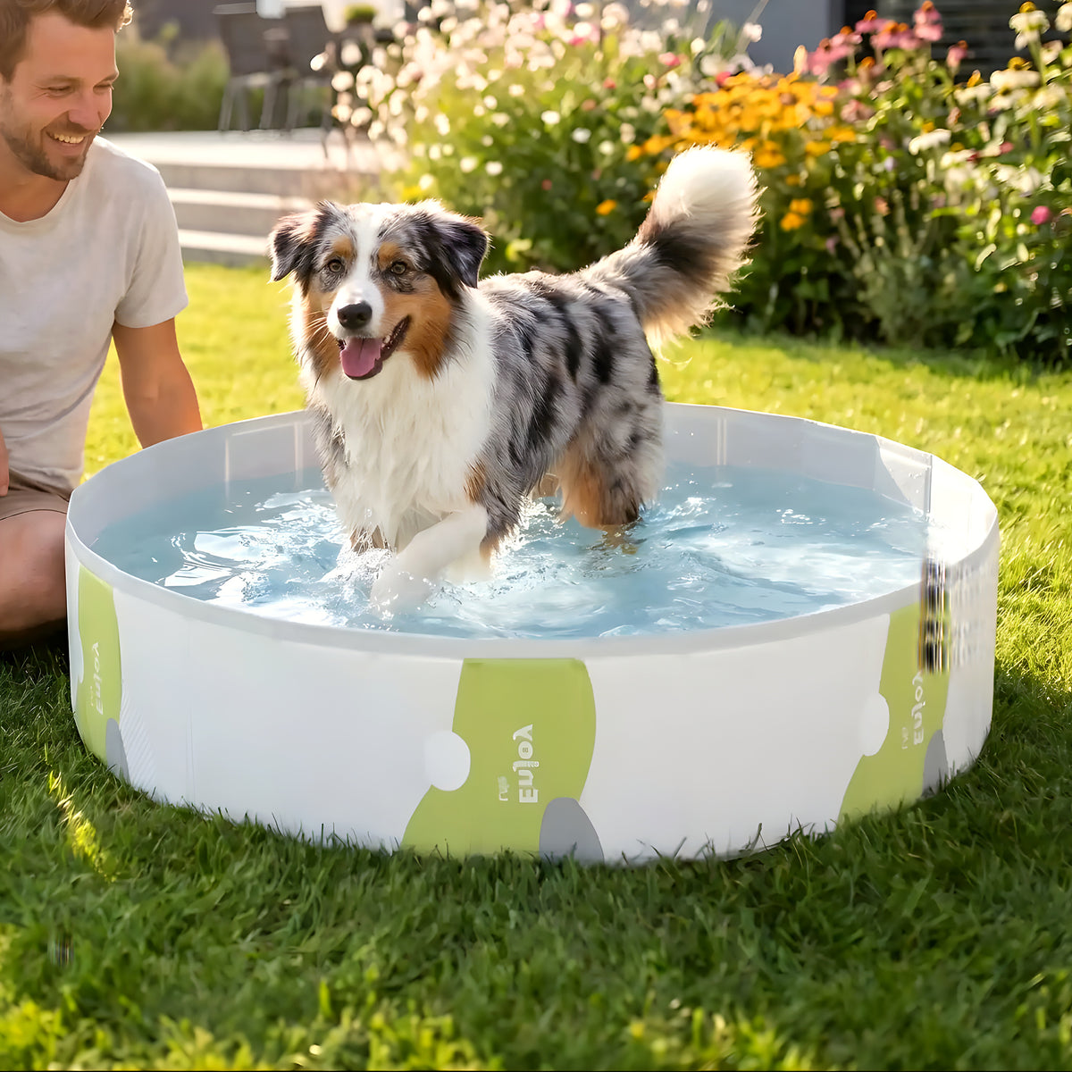 Piscine rigide pliable sans gonflage pour chien, 3 tailles