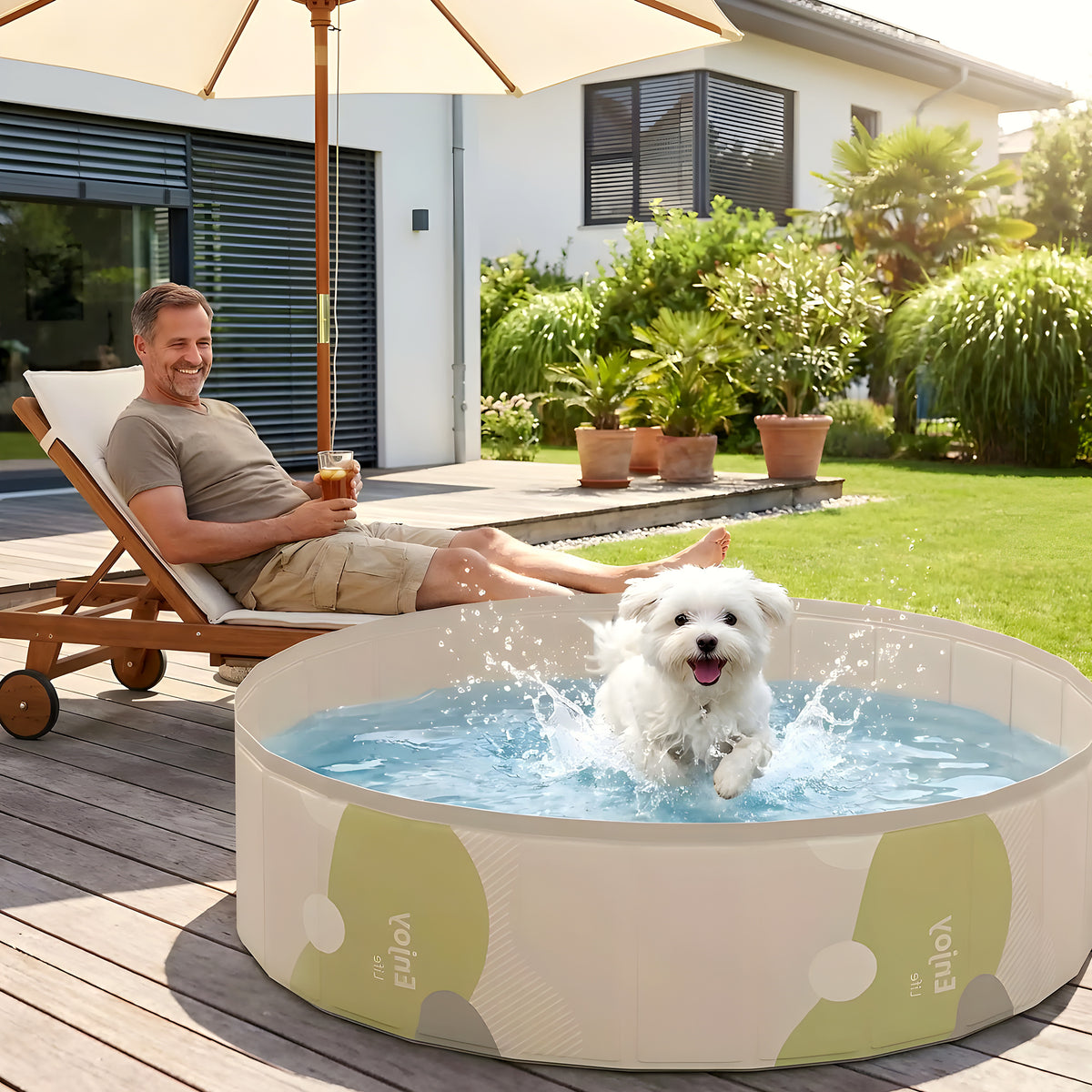Piscine rigide pliable sans gonflage pour chien, 3 tailles