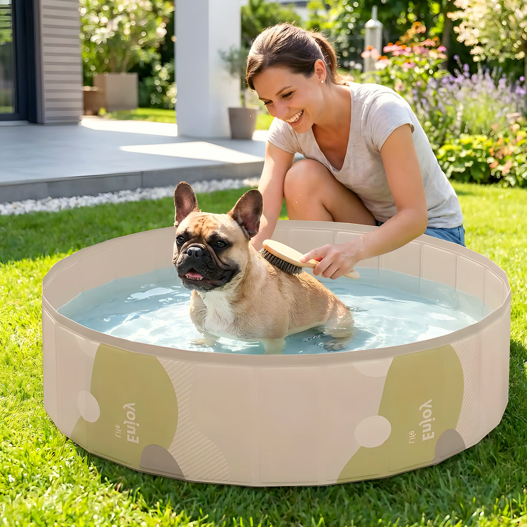 Piscine rigide pliable sans gonflage pour chien, 3 tailles