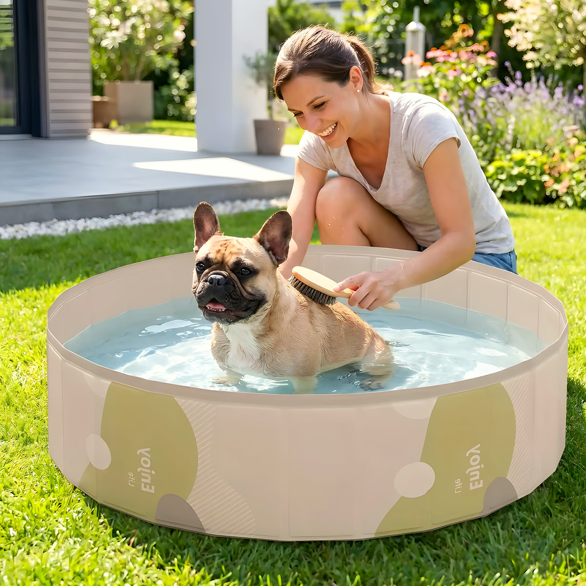 Piscine rigide pliable sans gonflage pour chien, 3 tailles