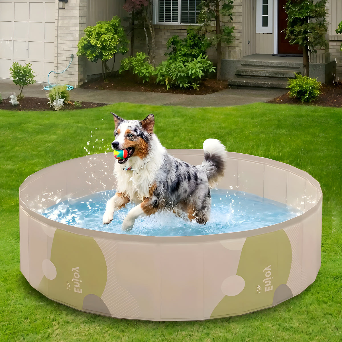 Piscine rigide pliable sans gonflage pour chien, 3 tailles