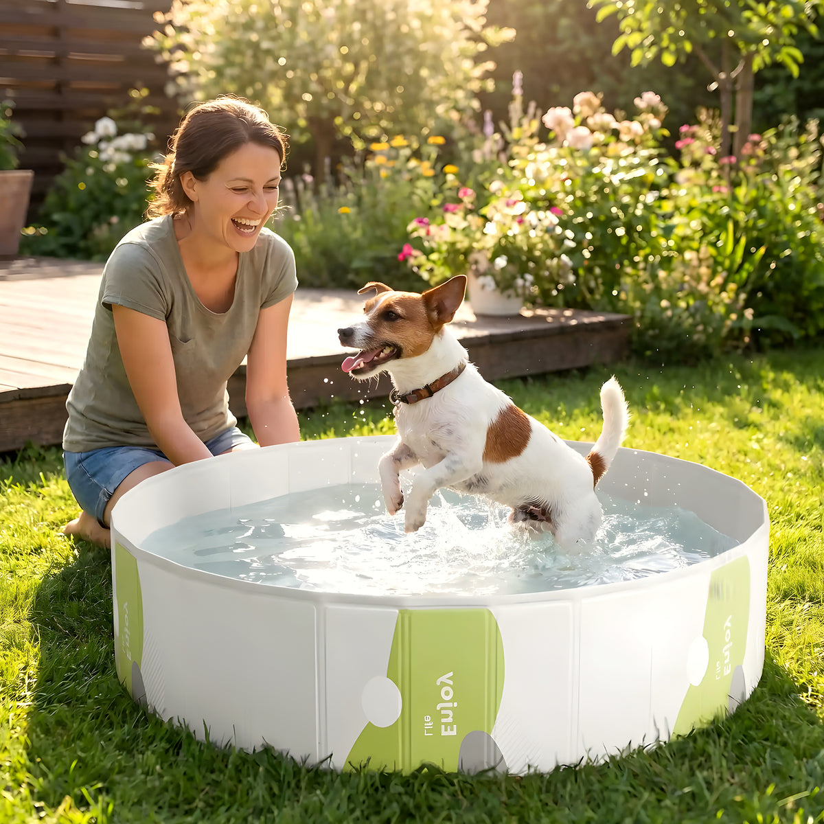 Piscine rigide pliable sans gonflage pour chien, 3 tailles