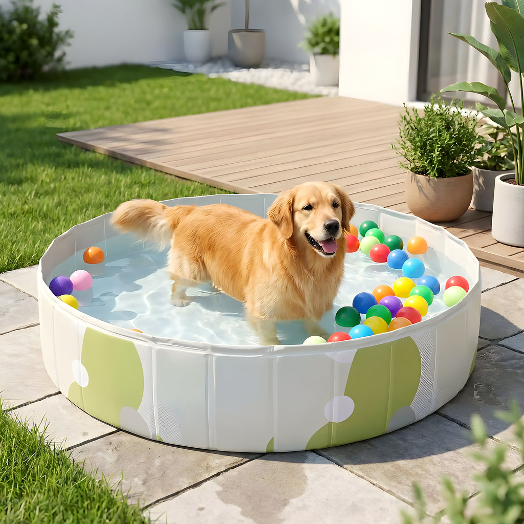 Piscine rigide pliable sans gonflage pour chien, 3 tailles