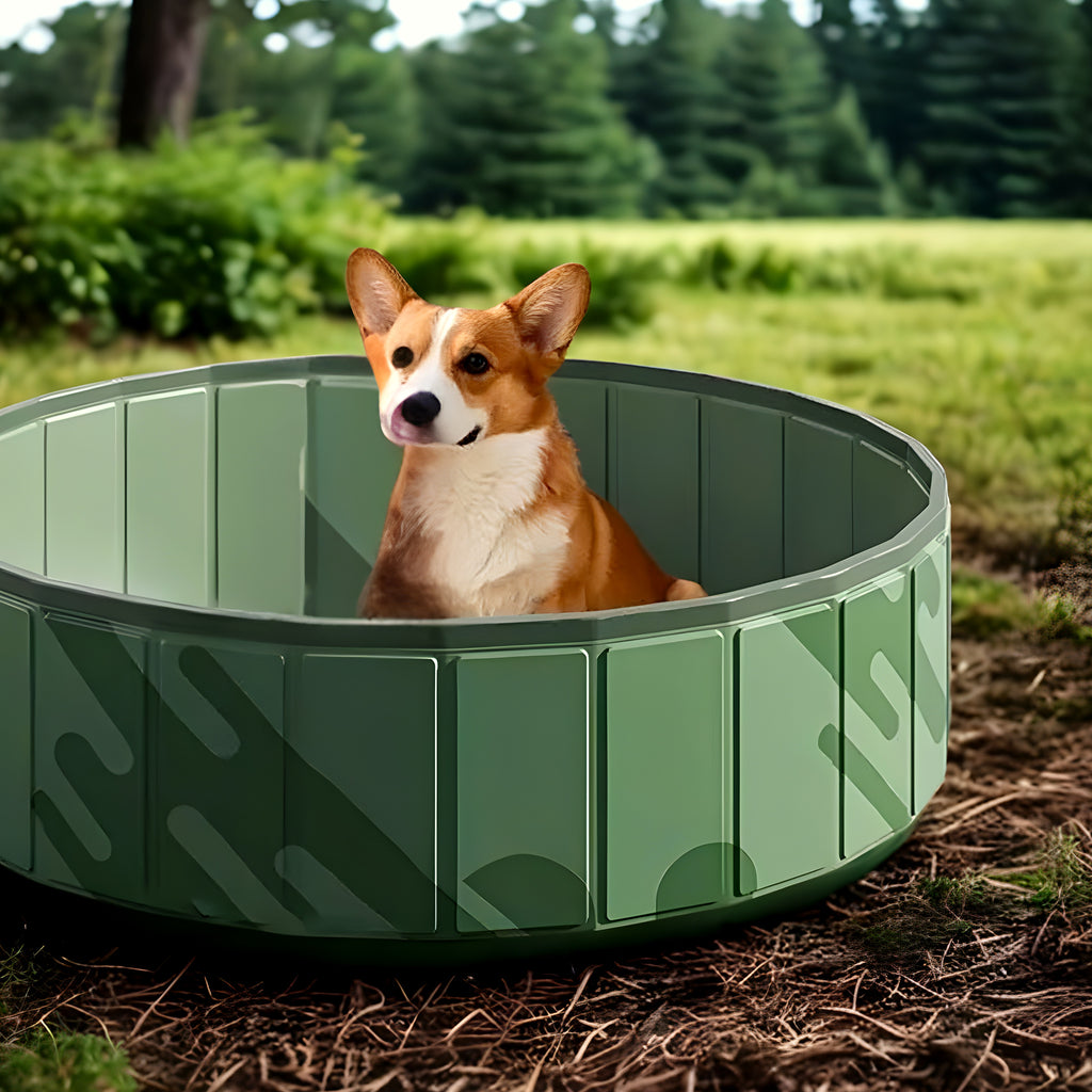 Piscine rigide pliable sans gonflage pour chien, S ou M