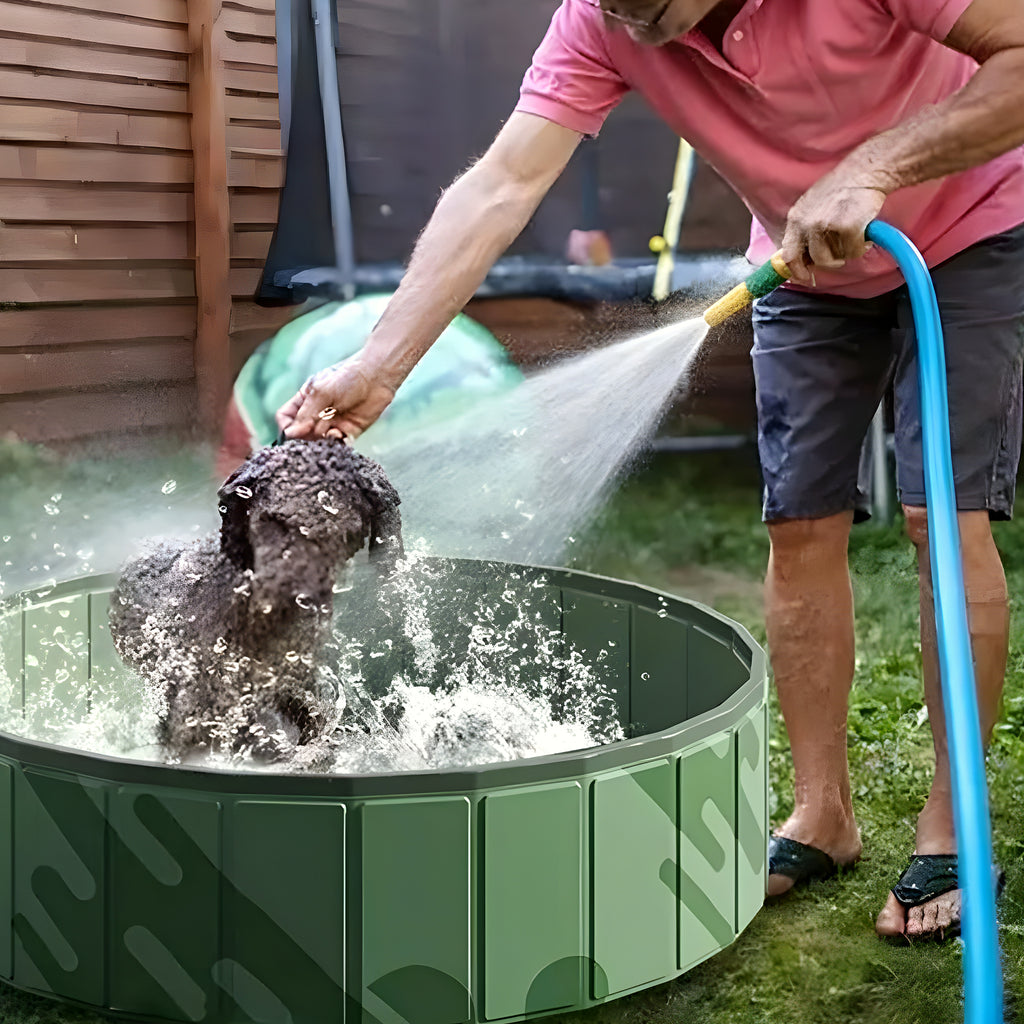 Piscine rigide pliable sans gonflage pour chien, S ou M