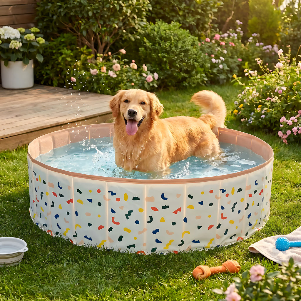 Piscine rigide pour chien, 80 ou 120 cm