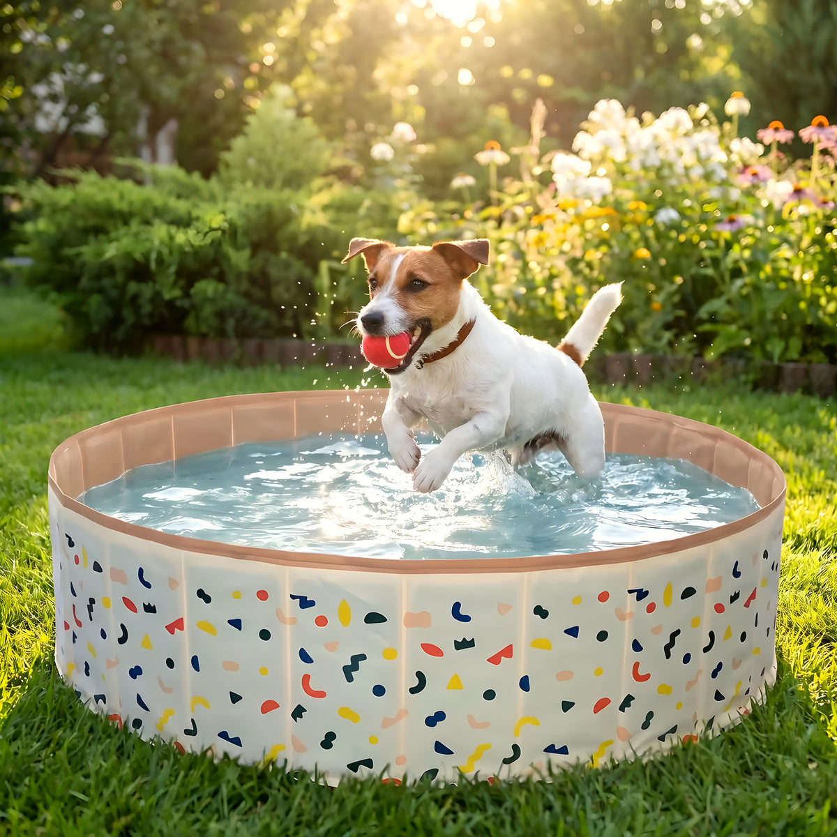 Piscine rigide pour chien, 80 ou 120 cm