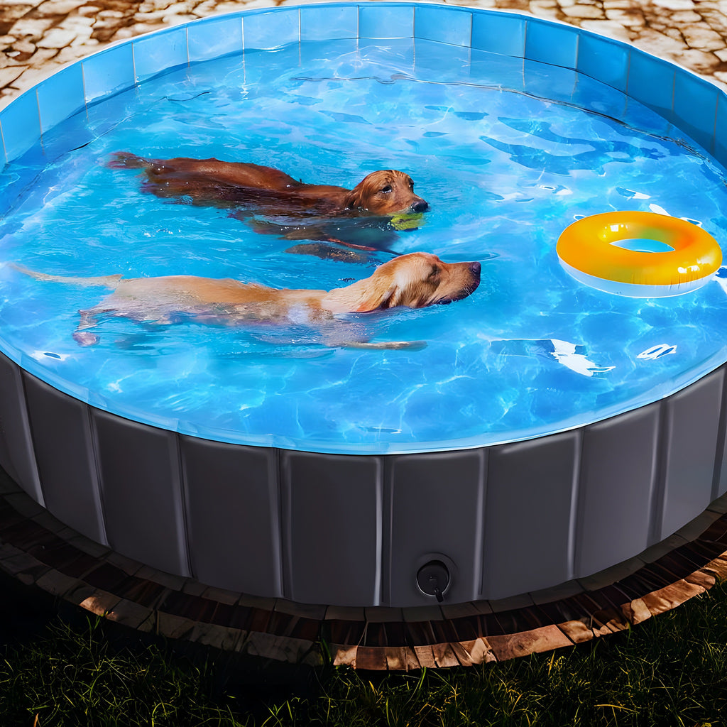 Piscine rigide pour chien, M à XXL