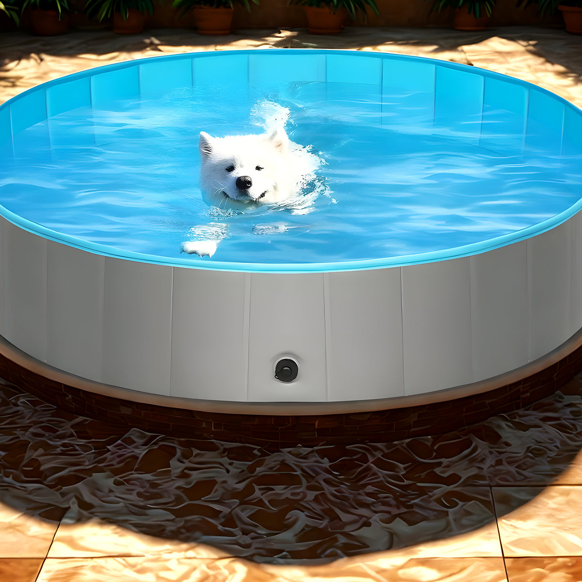 Piscine rigide pour chien, M à XXL