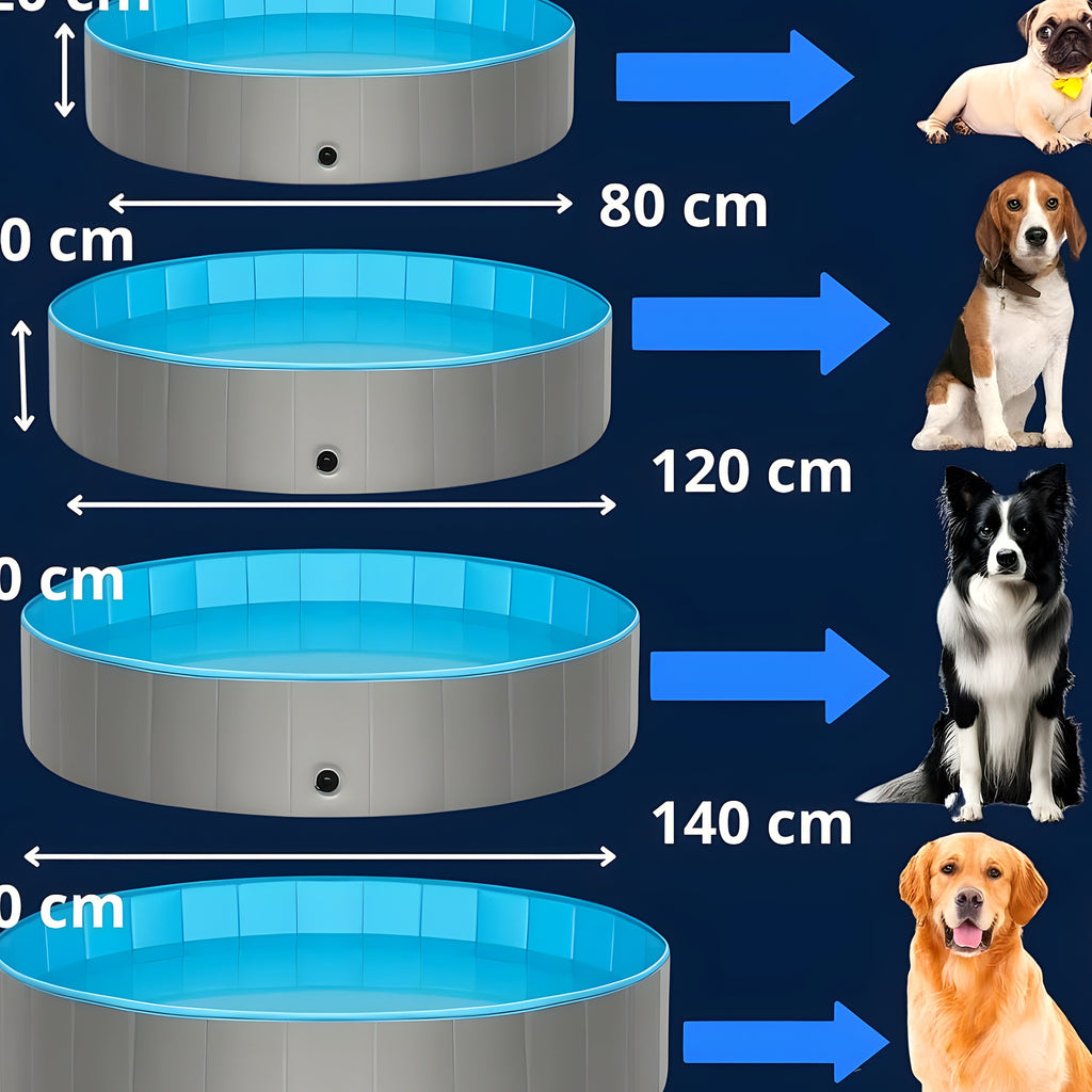 Piscine rigide pour chien, M à XXL