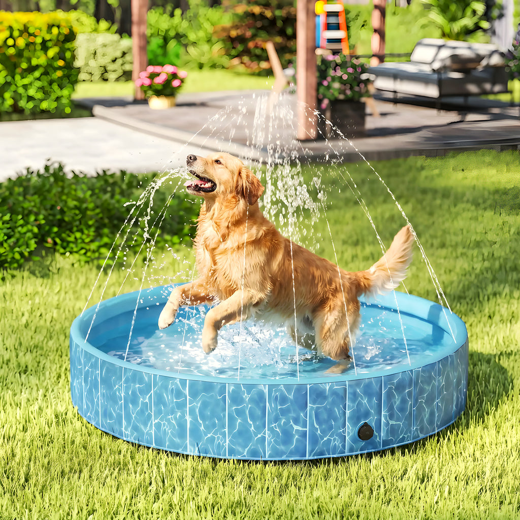 Piscine rigide XXL 160 cm pour grand chien