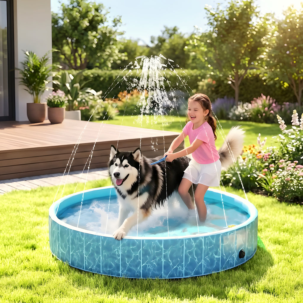 Piscine rigide XXL 160 cm pour grand chien