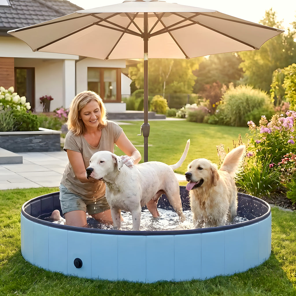 Piscine XXL 160 cm pour gros chien jusqu'à 80 kg