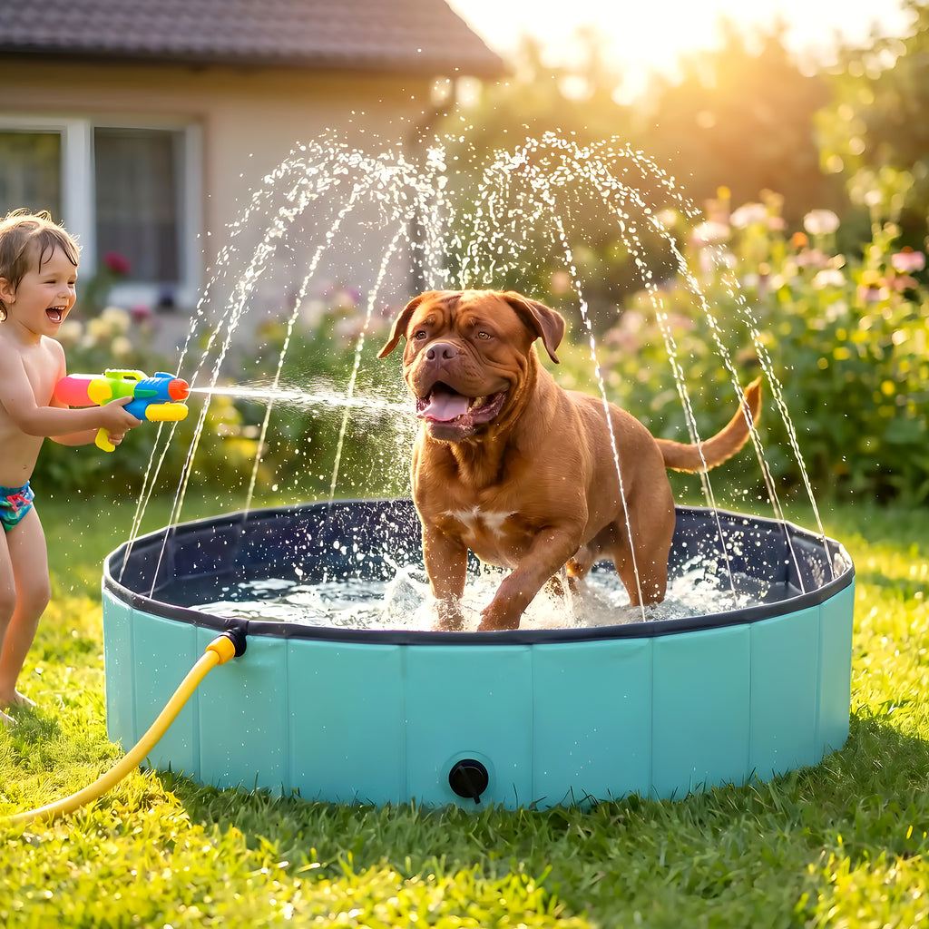 Piscine XXL à jets d'eau pour grand chien