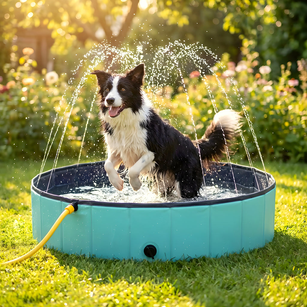 Piscine XXL à jets d'eau pour grand chien
