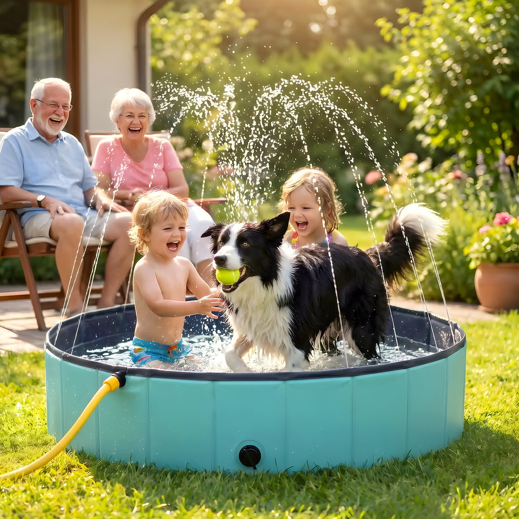 Piscine XXL à jets d'eau pour grand chien
