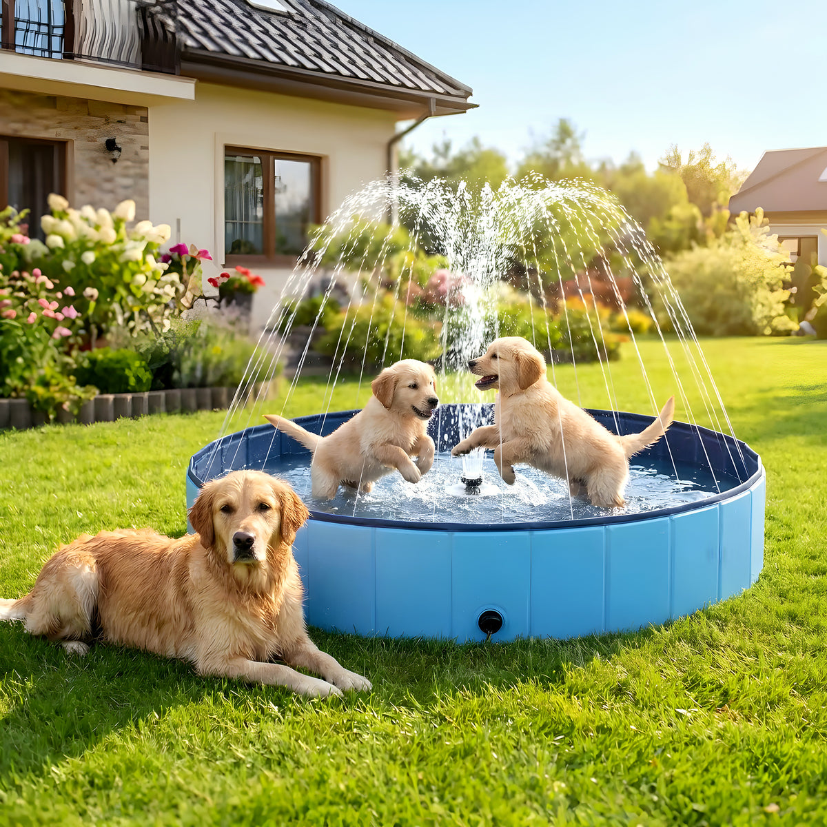 Piscine XXL à jets d'eau pour grand chien