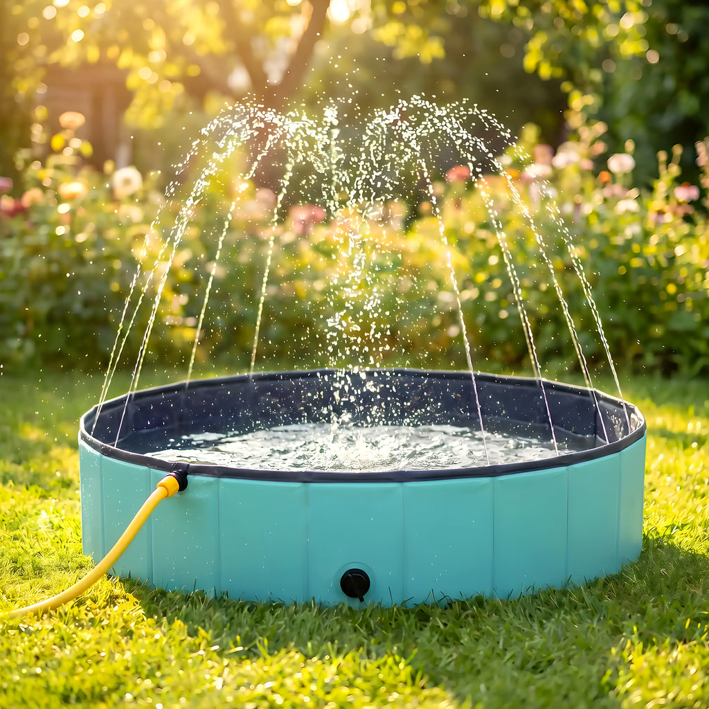 Piscine XXL à jets d'eau pour grand chien