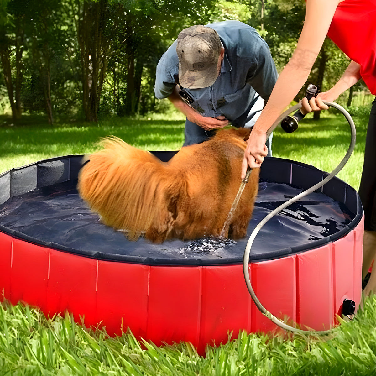 Piscine XXL en PVC pour grand et très grand chien