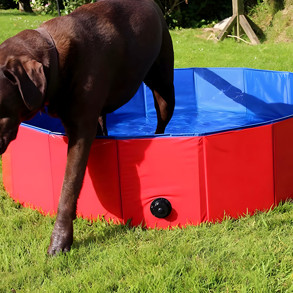 Piscine XXL en PVC pour grand et très grand chien