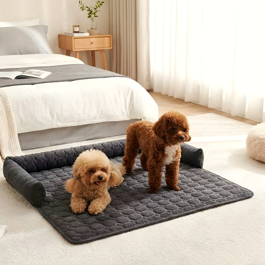 Protège-canapé 75 x 75 cm avec bords en U pour chien
