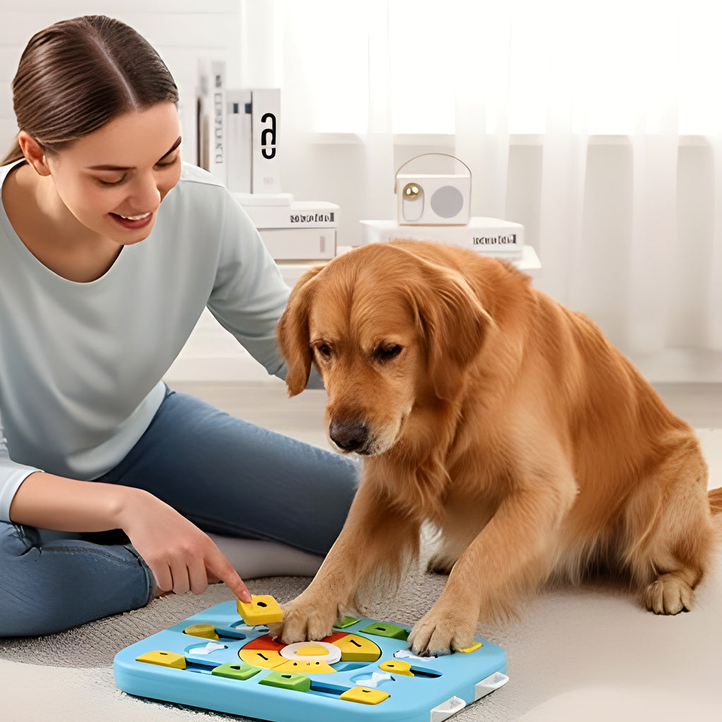 Puzzle d'intelligence niveau 3 pour chien, 26 cachettes