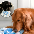 Puzzle intelligent 3 niveaux pour chien