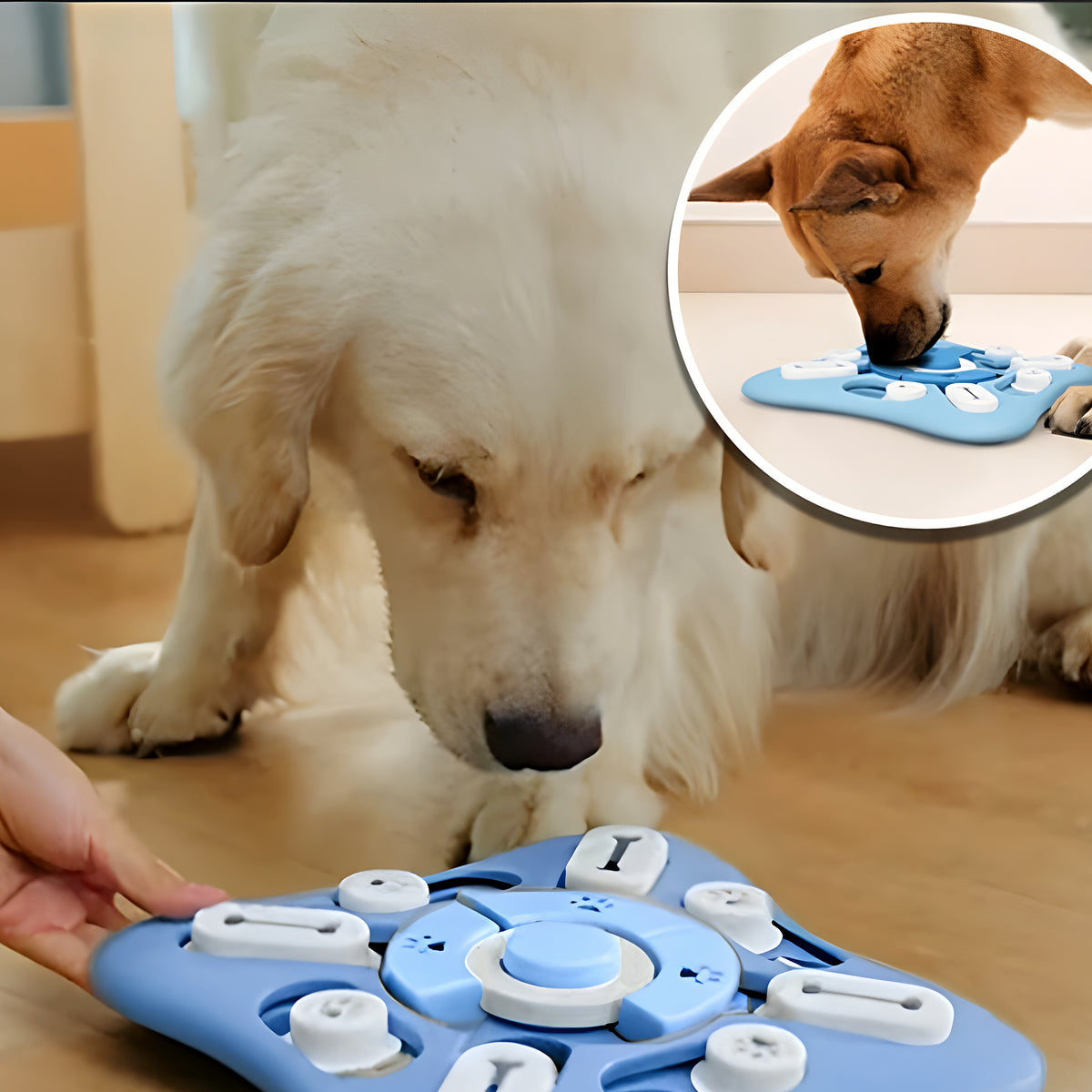 Puzzle intelligent 3 niveaux pour chien
