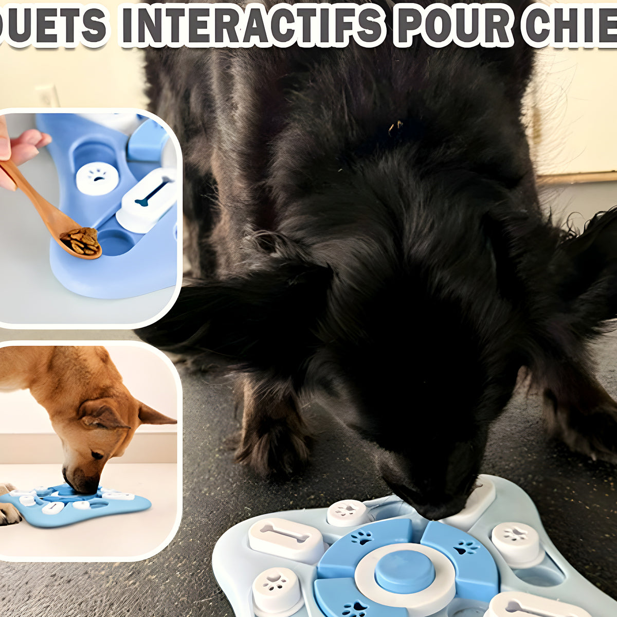 Puzzle intelligent 3 niveaux pour chien