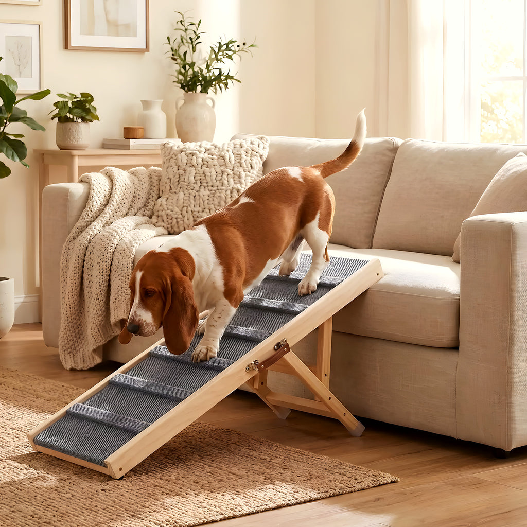 Rampe en bois 5 hauteurs pour chien jusqu'à 35 kg