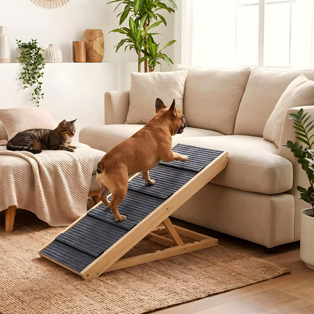 Rampe en bois pliable 4 hauteurs pour chien