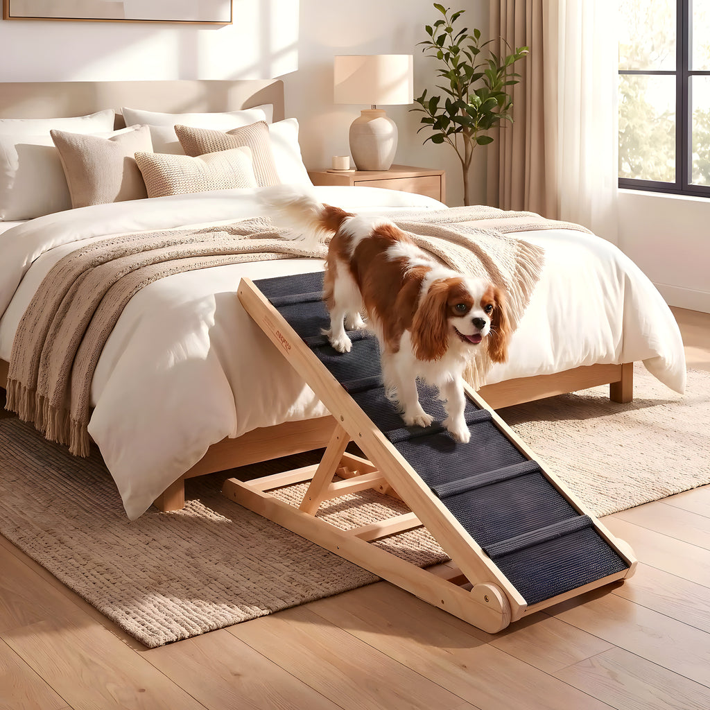 Rampe en bois réglable 6 hauteurs pour chien