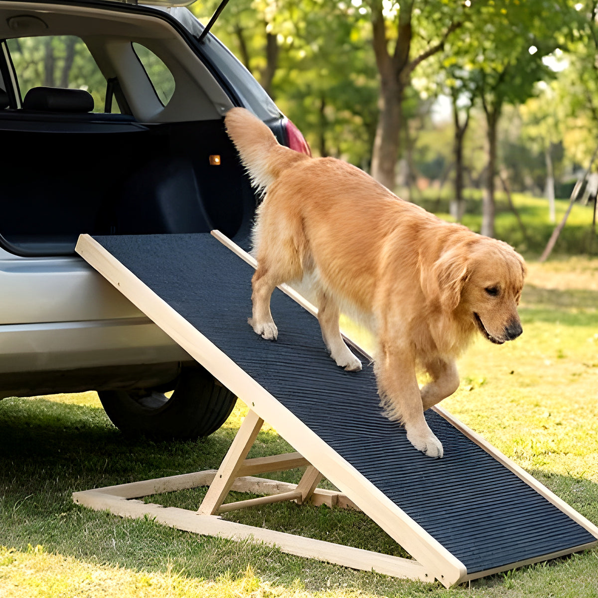 Rampe pliable compacte en pin massif pour chien
