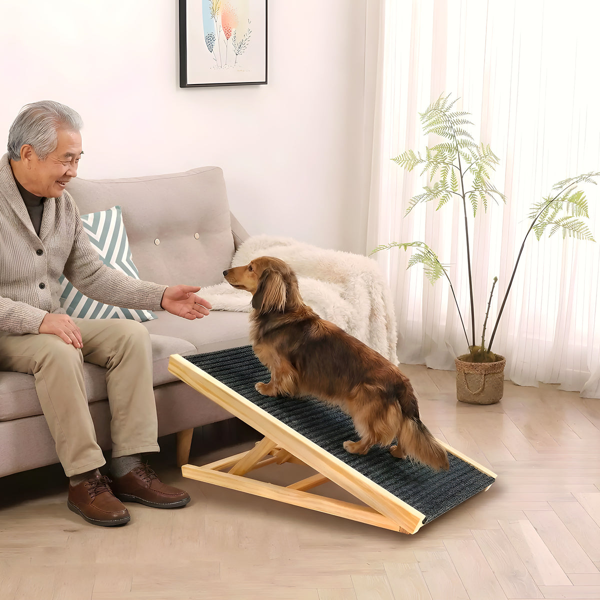 Rampe pliable compacte en pin massif pour chien