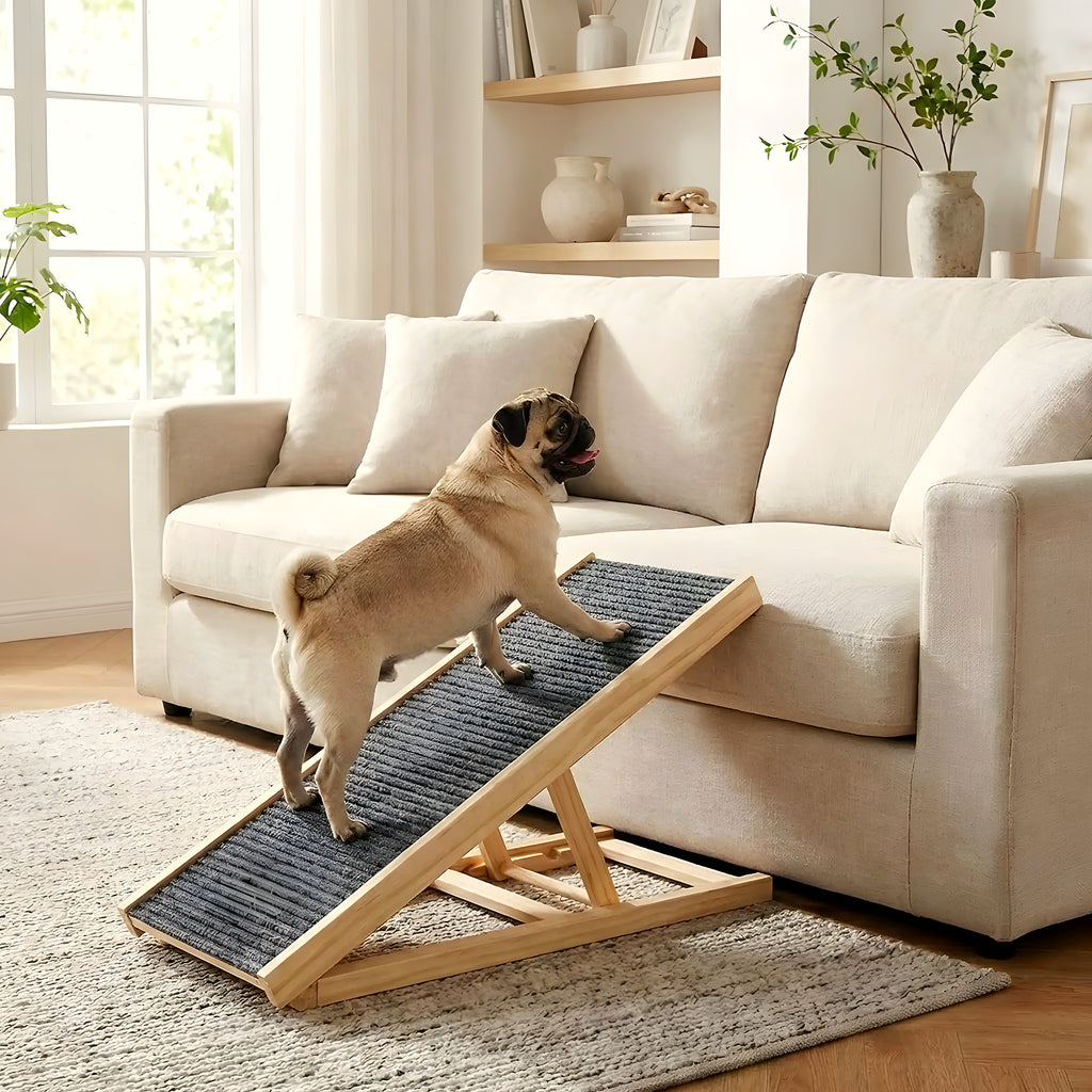 Rampe pliable compacte en pin massif pour chien
